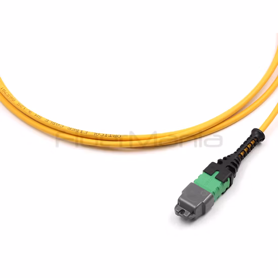 MTP/APC Femelle à MTP/APC Femelle Trunk Cable Assembly 12 Fibres Polarité A Monomode 9/125