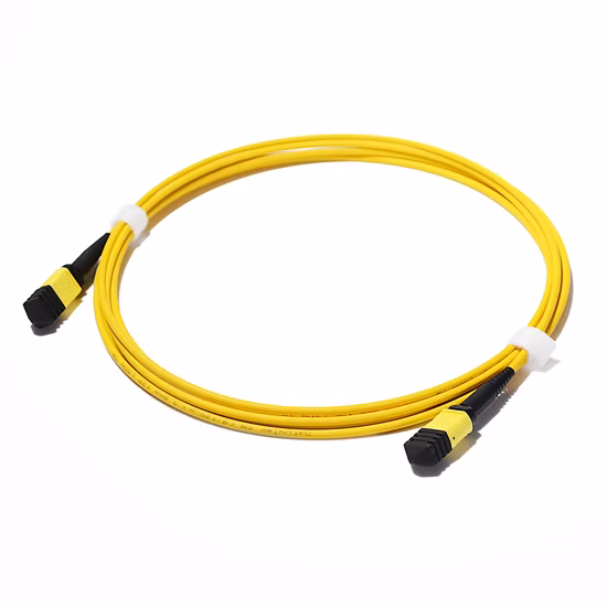 Haute qualité avec équipement à fibre optique MPO/APC Upc vers MTP/APC Upc 96 Core Om4 MPO Trunk Cable