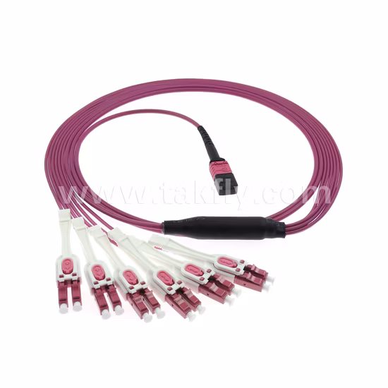 40g Qsfp 100g Qsfp28 12 fibres Sm OM3 OM4 OM5 Câble de tronc MPO-LC