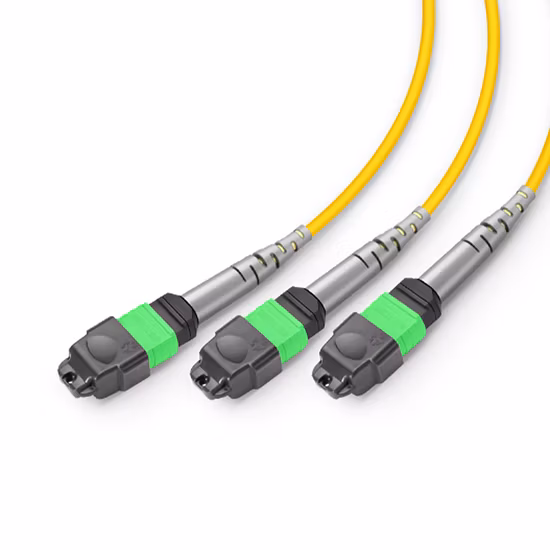 MTP Femelle à MTP Femelle Trunk Cable Assembly 12 Fibres Polarité A OM5 50/125 100G